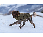 Lightweight Hunde-Steppjacke Cliff mit Fleecelining, 200 g