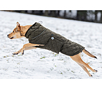 Lightweight Hunde-Steppjacke Cliff mit Fleecelining, 200 g