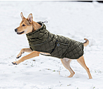 Lightweight Hunde-Steppjacke Cliff mit Fleecelining, 200 g