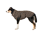 Lightweight Hunde-Steppjacke Cliff mit Fleecelining, 200 g