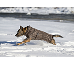 Lightweight Hunde-Steppjacke Cliff mit Fleecelining, 200 g