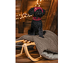 Hunde-Beanie Evin