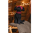 Hunde-Beanie Evin