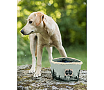 Canvas-Reisenapf fr Hunde Adventure Seeker