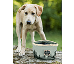 Canvas-Reisenapf fr Hunde Adventure Seeker