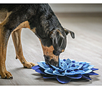 Schnüffel-Teppich für Hunde