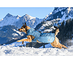 Winter-Hundemantel Glacier Bay mit Teddyfleece-Innenfutter, 100 g