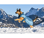 Winter-Hundemantel Glacier Bay mit Teddyfleece-Innenfutter, 100 g