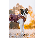 Hunde-Regenmantel Pumpkin Spice, 0 g