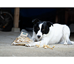 Lammkopfhaut Hundesnack