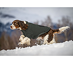 Sherpa-Hunde-Sweater Eden