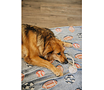 Tau-Spielzeug Jack fr Hunde
