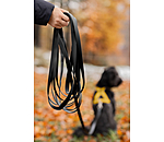 Waterproof Reitbegleit-Hundeleine Ginny