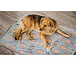 Hundedecke Glow in the Dark