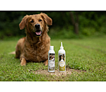 Hundeshampoo Sensitive Care