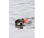 Wasserspielzeug Marble Bone  fr Hunde
