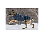 LED-Hunde-Steppjacke Arlo, 300 g