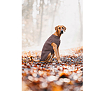 Hunde-Rollkragenpullover Maisie
