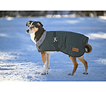 Winter-Hundemantel Gizmo mit Teddyfell-Innenfutter, 200 g