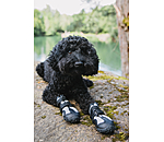 Pfotenschutz-Schuhe Dubai fr Hunde