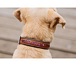 Leder-Hundehalsband Good Dog