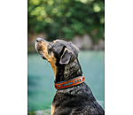 Leder-Hundehalsband Good Dog