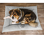 Kunstleder-Hundekissen Gioia