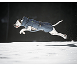 Winter-Hundemantel Marlon, 200-300 g
