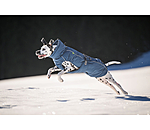 Winter-Hundemantel Marlon, 200-300 g