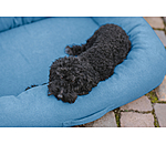 Hundebett Terry