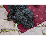 Fleece-berwurf- und Liegedecke Charly