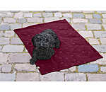 Fleece-berwurf- und Liegedecke Charly