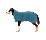 Hunde-Regenmantel Winter Islands, 160 g