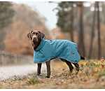 Hunde-Regenmantel Winter Islands, 160 g