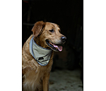 Reflex Halstuch f�r Hunde