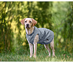 reflektierender Regenmantel To Go