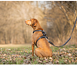 Hundegeschirr Comfort Fit