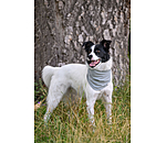 k�hlendes Halstuch Frostie