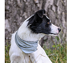 k�hlendes Halstuch Frostie