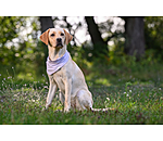 k�hlendes Halstuch Frostie