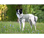 k�hlendes Shirt Frostie