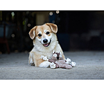 Hundespielzeug Eichh�rnchen