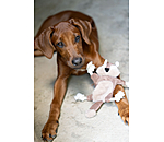 Hundespielzeug Eichh�rnchen