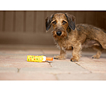 Hundespielzeug Eis am Stiel mit Quietsche