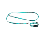 Halsband und Leine Set Zap