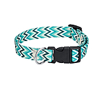 Halsband und Leine Set Zap