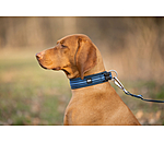 Halsband Comfort Fit