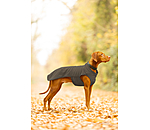 Hunde-Unterzieh- und Fleecepullover Basic