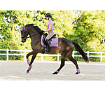 Gamaschen Sophistication