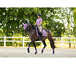 Gamaschen Sophistication